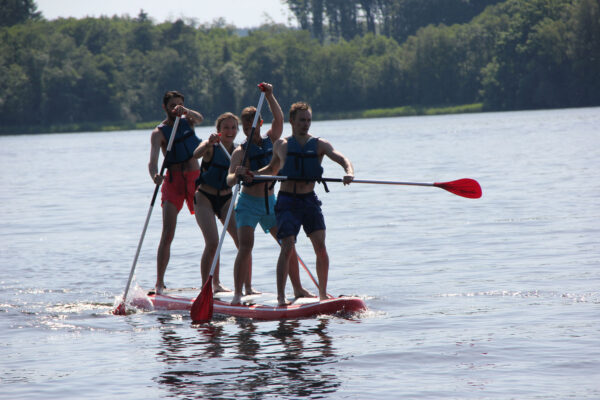 Paddle