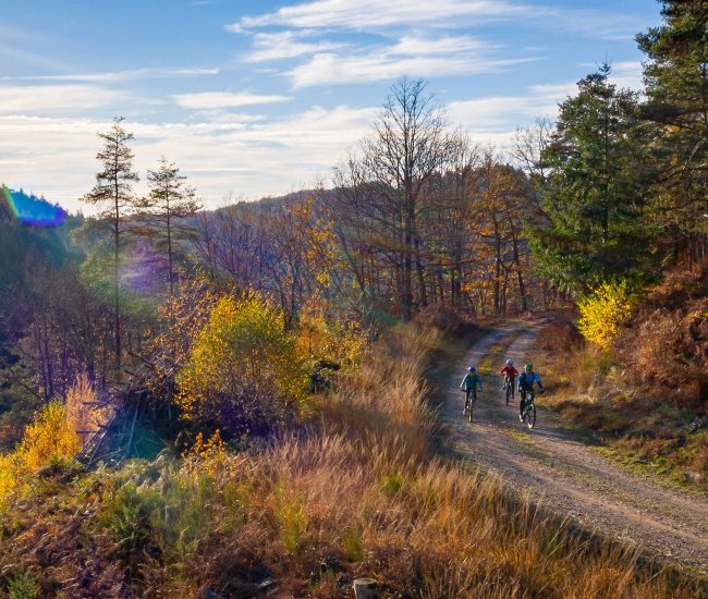 Week-end actif dans le Morvan